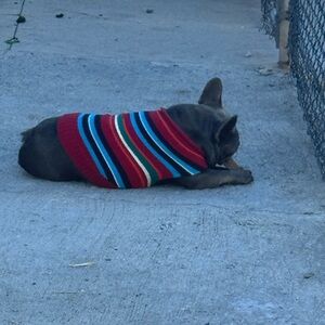 Peppermayo Light Pink Crochet Crop Top